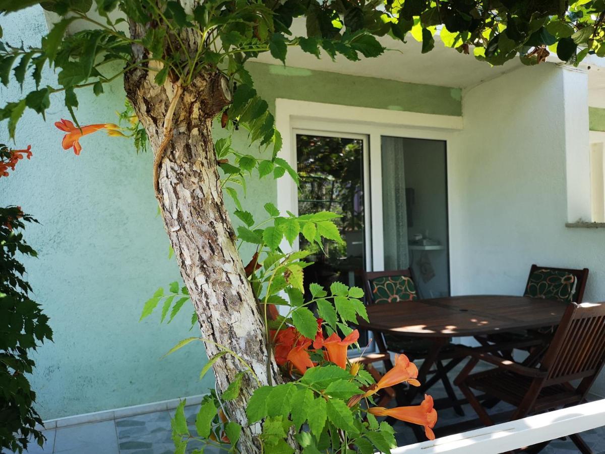 Chillout Apartments With Pool Patricia Фажана Экстерьер фото